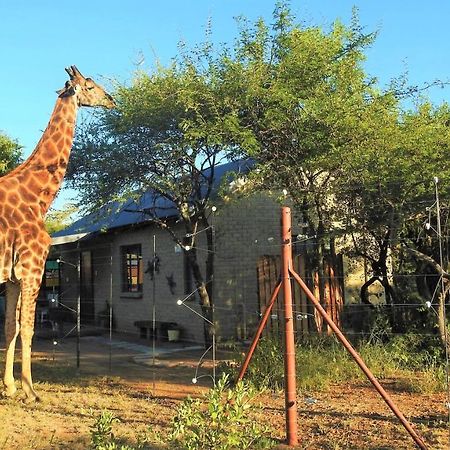Marulani Bush Lodge Klipdrift Esterno foto