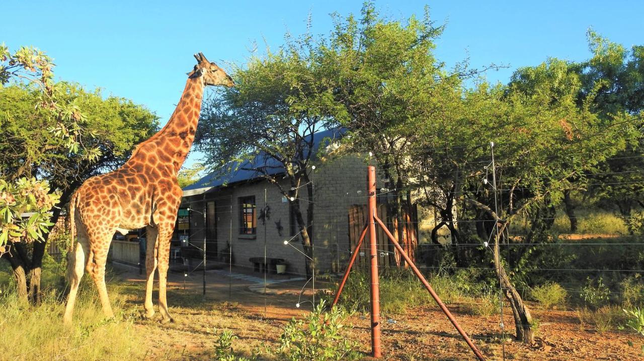 Marulani Bush Lodge Klipdrift Esterno foto
