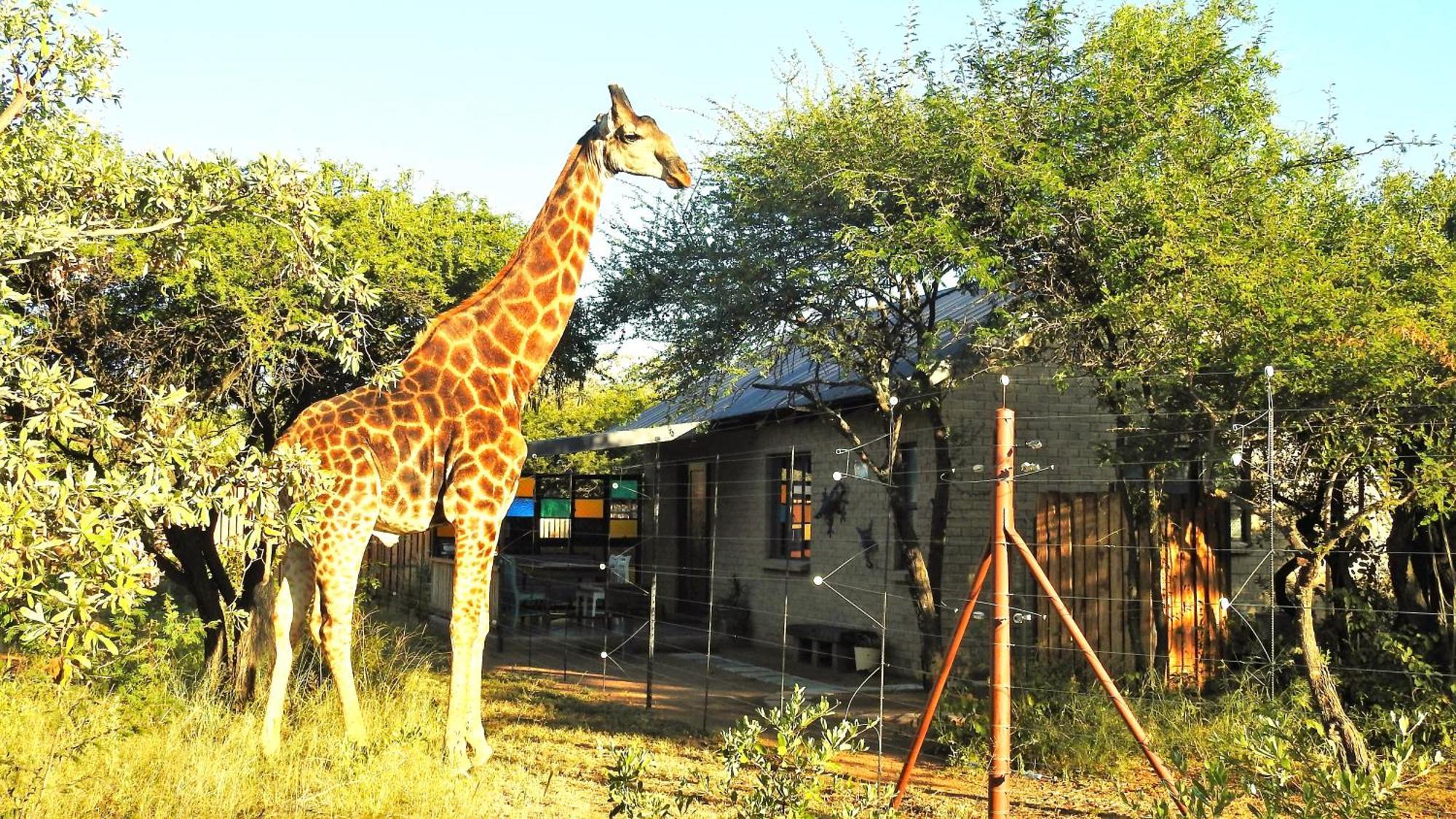 Marulani Bush Lodge Klipdrift Esterno foto
