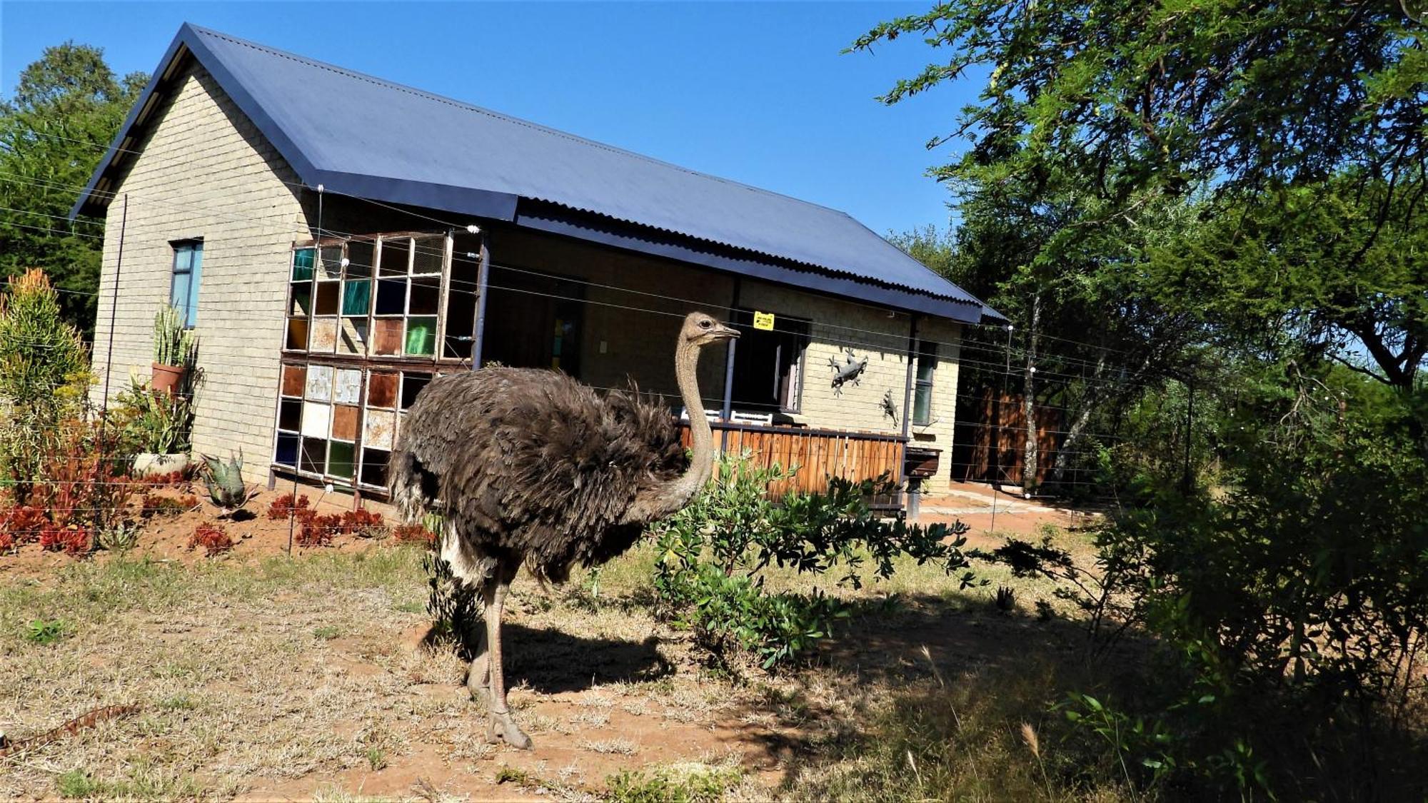 Marulani Bush Lodge Klipdrift Esterno foto